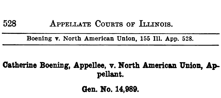 Boening v. North American Union
